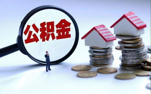 撫州最新人才招聘動(dòng)態(tài)，人才與機(jī)遇交匯點(diǎn)探尋