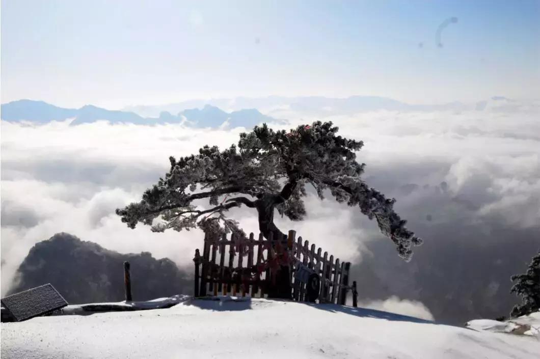 雪落微揚(yáng)最新小說(shuō)，奇幻世界之旅探索