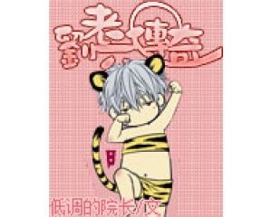 張小花最新作品，探索藝術(shù)領(lǐng)域的新篇章