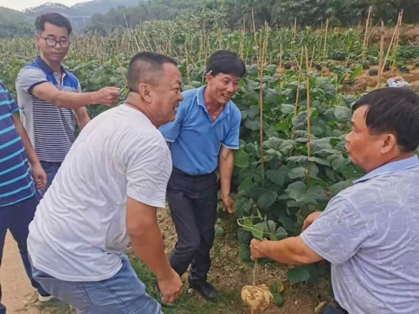 訥河鎮(zhèn)一良苗圃最新動(dòng)態(tài)報(bào)道