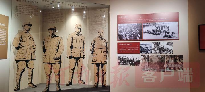 周口雞蛋今日最新價格及市場走勢與影響因素深度解析