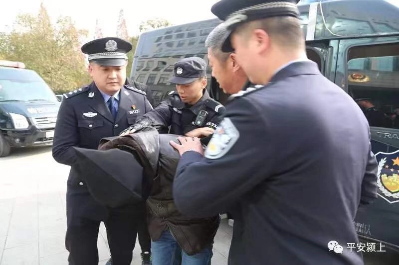 利辛最新殺人案，深度剖析與反思