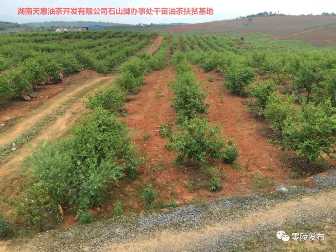 龍南縣農業(yè)農村局最新資訊