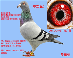 秦都公棚最新科技掃描，推動現(xiàn)代化養(yǎng)殖產(chǎn)業(yè)新發(fā)展
