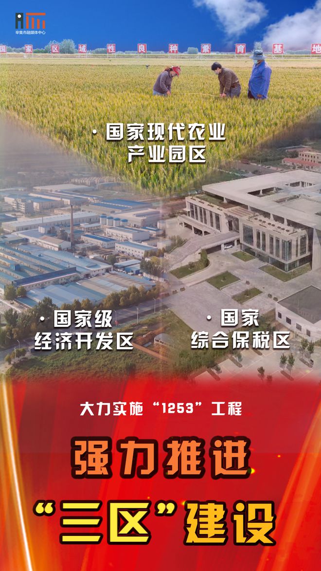 辛集機場最新消息全面解讀與分析
