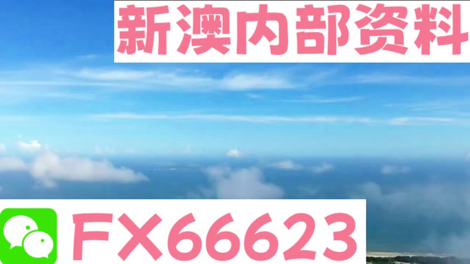 新澳2024正版資料免費公開｜精選解釋解析落實