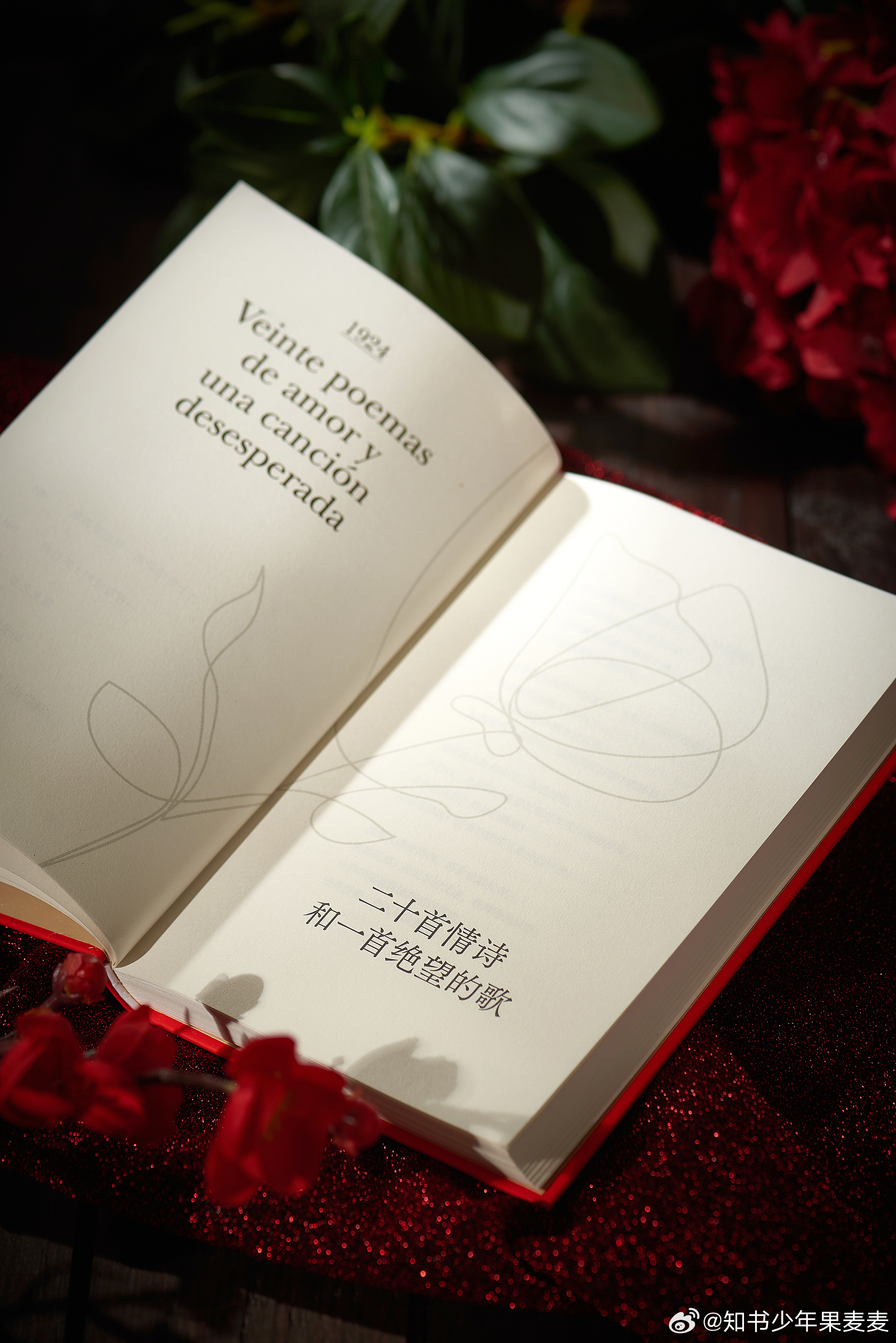 白小姐449999精準(zhǔn)一句詩(shī)｜精選解釋解析落實(shí)