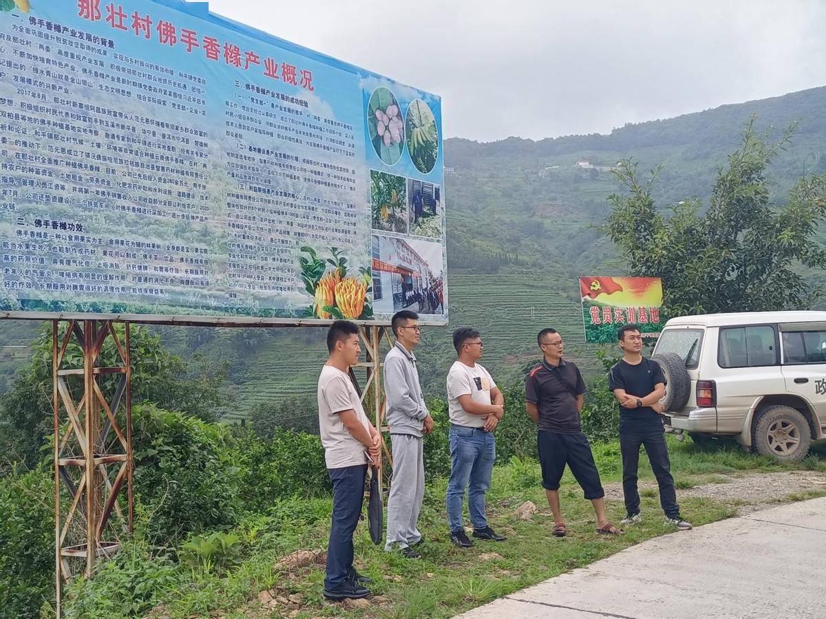 鎮(zhèn)沅彝族哈尼族拉祜族自治縣衛(wèi)生健康局最新人事任命,鎮(zhèn)沅彝族哈尼族拉祜族自治縣衛(wèi)生健康局最新人事任命，推動衛(wèi)生健康事業(yè)邁上新臺階