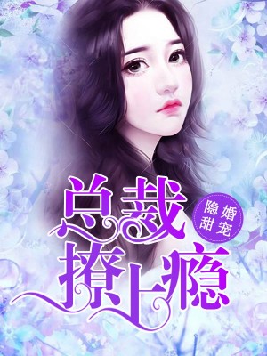 總裁撩妻上癮，最新篇章深度探秘