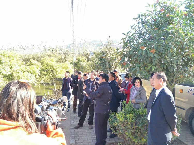 宜良新聞最新動態(tài)報道速遞