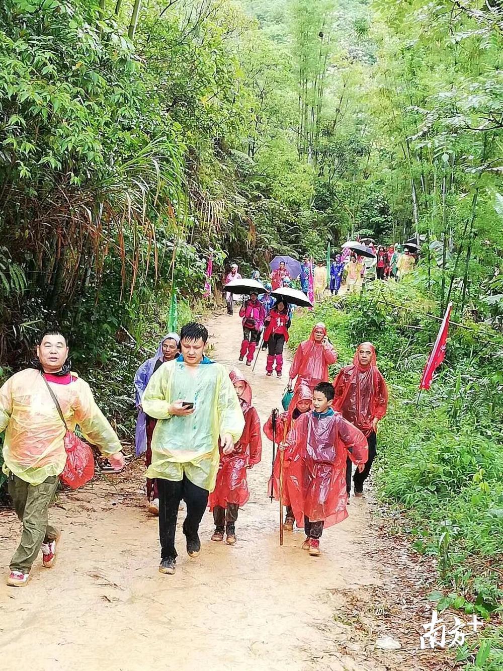 佛岡加多寶最新招聘動(dòng)態(tài)及其影響，崗位空缺與人才吸引分析