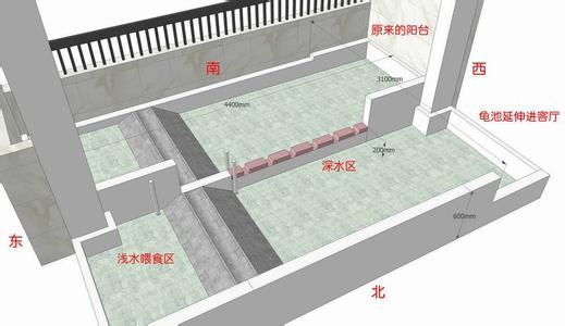 最新龜池設(shè)計(jì)圖片，實(shí)現(xiàn)理想的龜類棲息地建設(shè)