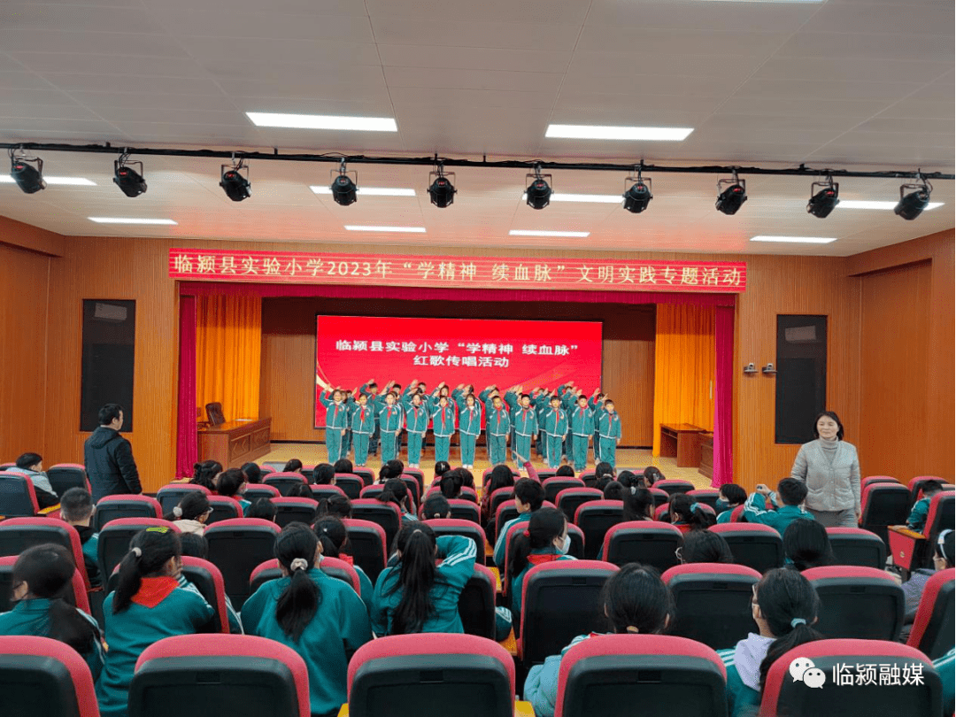 臨潁縣小學(xué)最新動態(tài)報道
