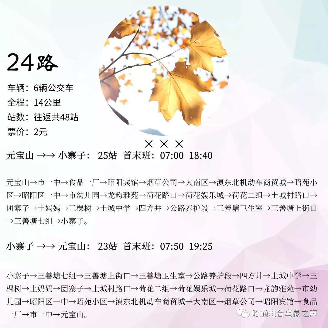 昭通公交車路線最新動態(tài)解析，最新路線、調(diào)整與動態(tài)資訊