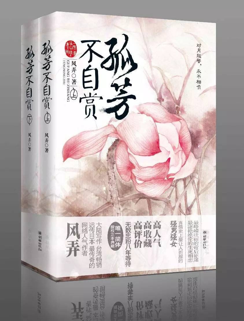 2024年12月 第13頁