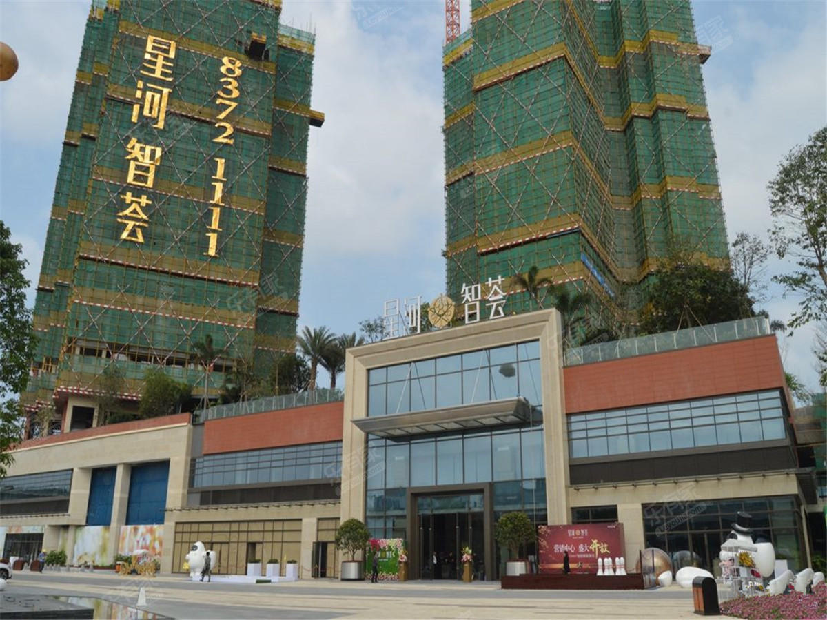 星河智薈最新價(jià)格揭秘，洞悉現(xiàn)代房地產(chǎn)市場(chǎng)動(dòng)態(tài)