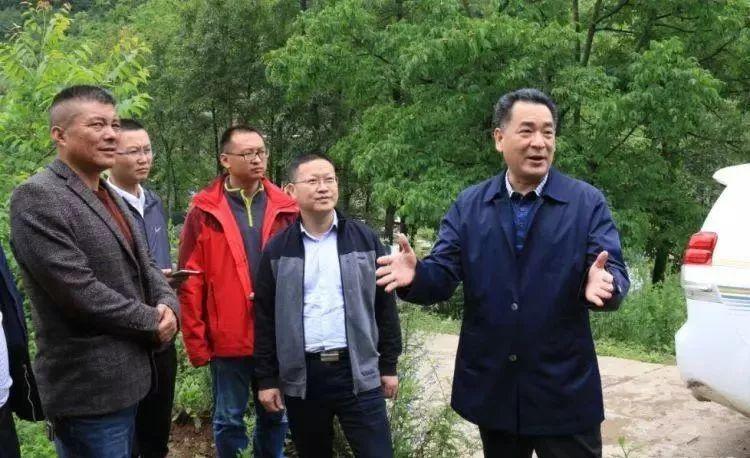 莫井鄉(xiāng)最新發(fā)展規(guī)劃，走向繁榮與可持續(xù)的未來之路