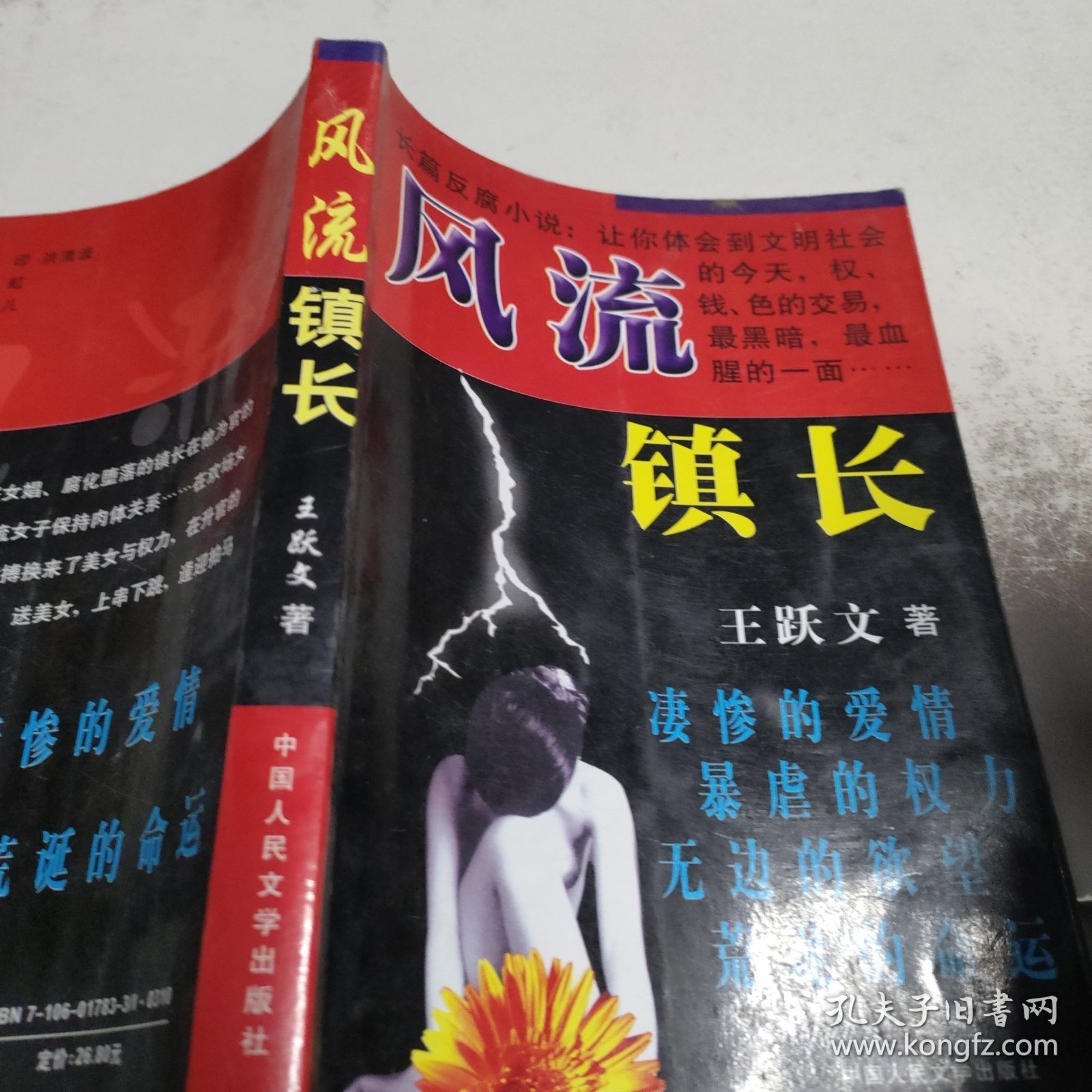 鄉(xiāng)村振興璀璨篇章，風(fēng)流女鄉(xiāng)長(zhǎng)的最新章節(jié)展示