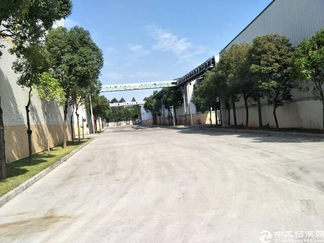 麻涌新沙港最新招聘啟事，職位空缺與職業(yè)發(fā)展機(jī)會(huì)