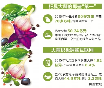 大蒜最新論壇，探索未來大蒜產(chǎn)業(yè)發(fā)展之路