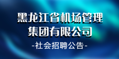 哈爾濱信息網(wǎng)最新招聘動態(tài)，影響與展望