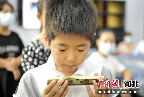 任丘貼吧最新動態(tài)概覽，掌握最新資訊，盡在任丘貼吧動態(tài)更新中！