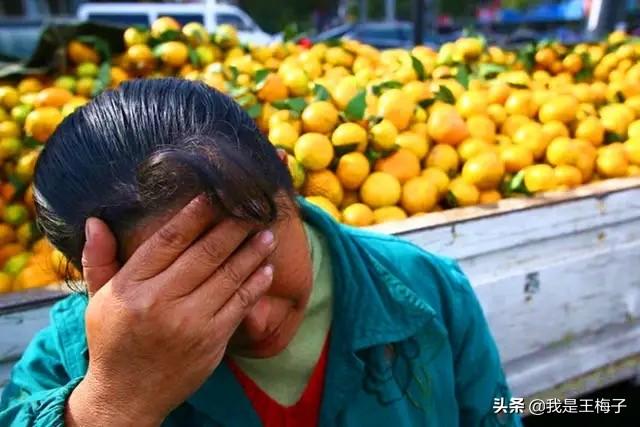 南豐最新消息概覽，最新動(dòng)態(tài)一網(wǎng)打盡