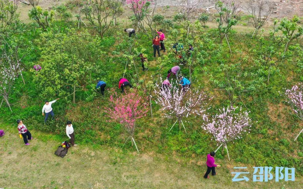 邵陽(yáng)市市園林管理局最新招聘信息,邵陽(yáng)市園林管理局最新招聘信息概覽
