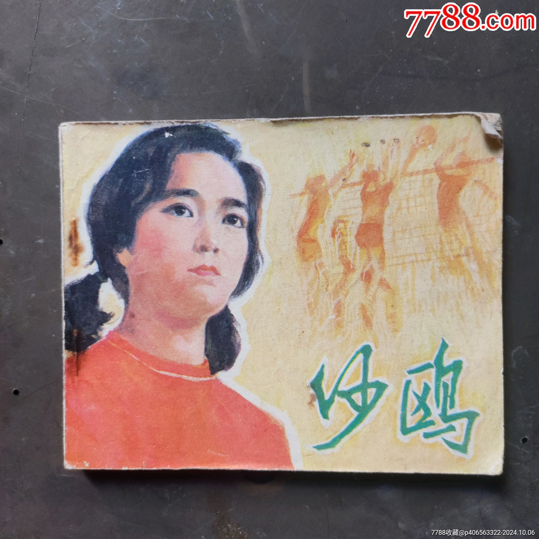 沙鷗最新演唱會(huì)完整版，音樂與情感的交響之夜