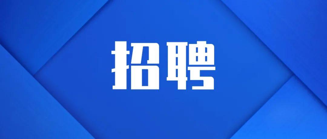 敖漢旗小學(xué)最新招聘信息概覽，最新招聘動(dòng)態(tài)一網(wǎng)打盡！