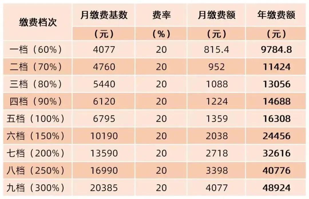 湖北菜籽價(jià)格今日行情及影響因素分析