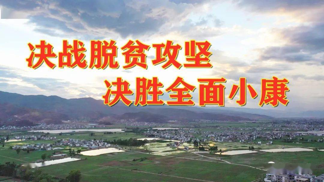 巍山彝族回族自治縣體育局最新招聘信息概覽