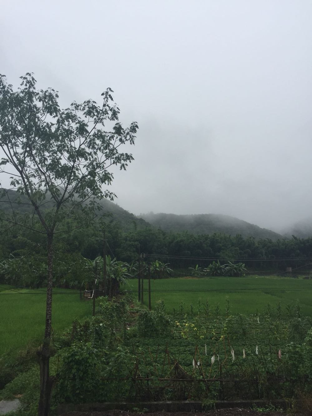 帕度村最新天氣預(yù)報(bào)更新通知