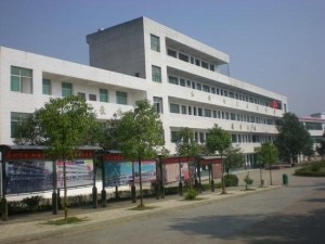 湖南坳鄉(xiāng)最新招聘信息概覽，求職者的首選指南
