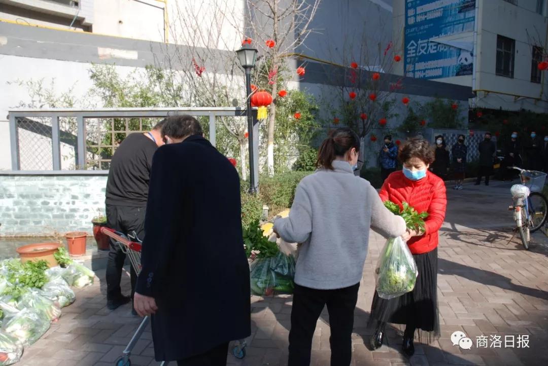商州區(qū)特殊教育事業(yè)單位最新項目進(jìn)展與影響概述