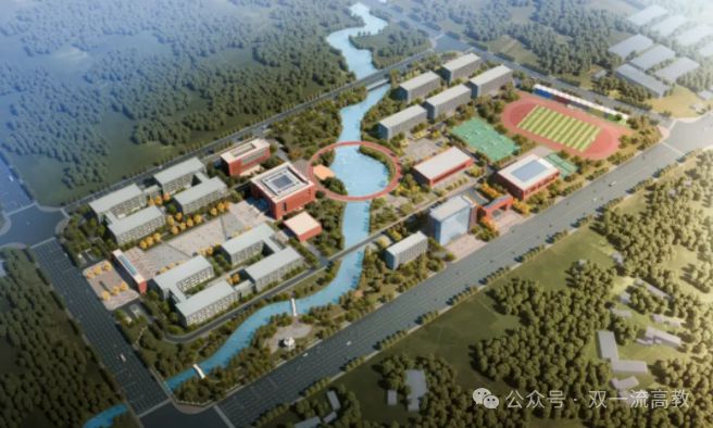 嵊泗縣小學(xué)未來教育藍(lán)圖，最新發(fā)展規(guī)劃揭秘